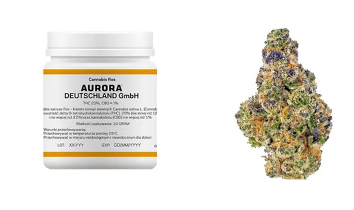 Medyczna marihuana w 2025 roku: jakie są aktualne ceny i co na nie wpływa?