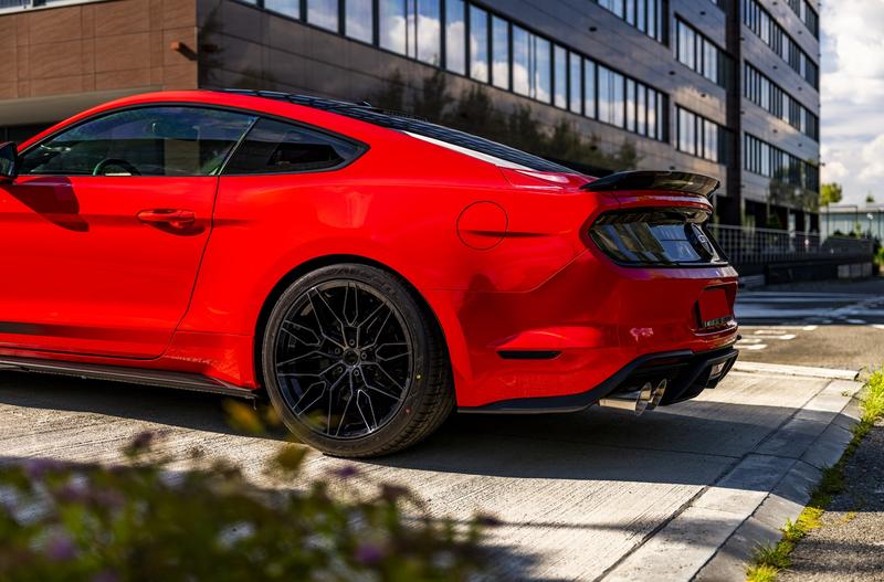 Film o Mustangu