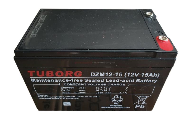 Rodzaje akumulatorów do samochodów elektrycznych