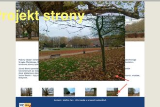 Stwórz zachwycającą galerię zdjęć w HTML – proste kroki i praktyczne wskazówki