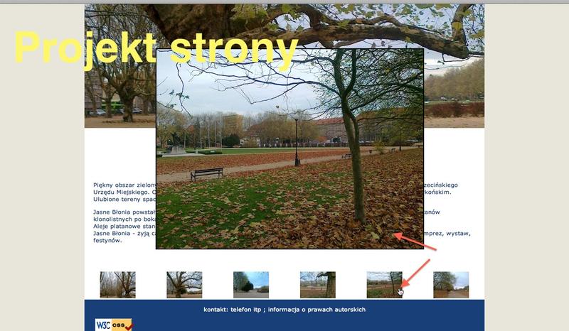 Stwórz zachwycającą galerię zdjęć w HTML – proste kroki i praktyczne wskazówki