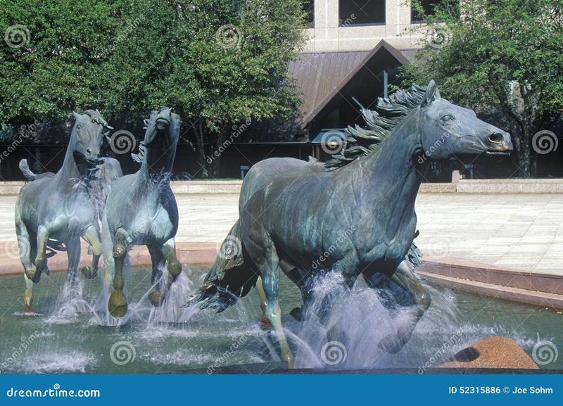 Miłośnicy mustangów