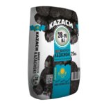 Ekogroszek Kazach: Kluczowe cechy i wszechstronne zastosowania tego ekologicznego paliwa