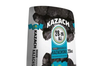 Ekogroszek Kazach: Kluczowe cechy i wszechstronne zastosowania tego ekologicznego paliwa