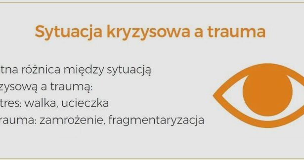 Jak postępować w kryzysie: Ucieczka z miejsca wypadku krok po kroku