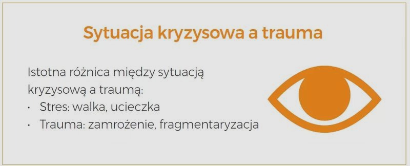 Jak postępować w kryzysie: Ucieczka z miejsca wypadku krok po kroku