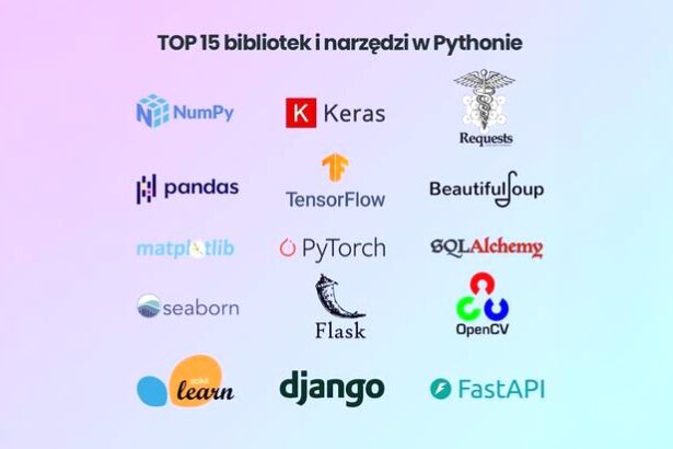 Jak wybrać najlepsze firmy zajmujące się rozwojem w Pythonie