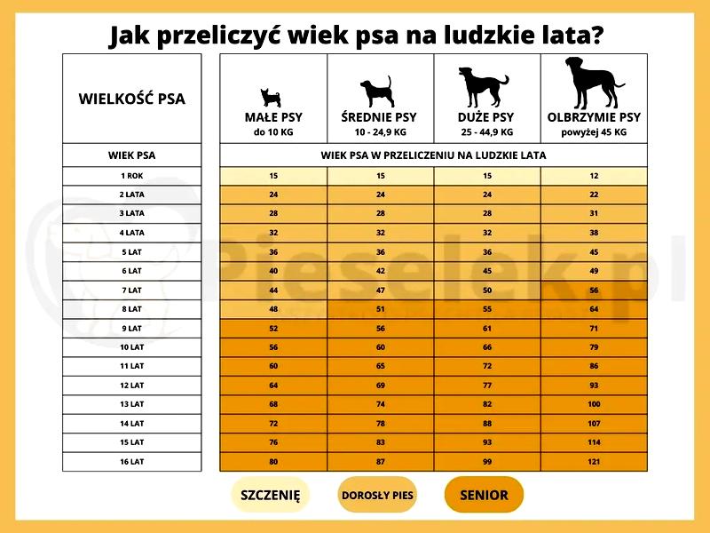 Opieka nad psem