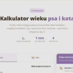 Nowy kalkulator wieku psa – przelicz psie lata na ludzkie