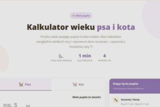 Nowy kalkulator wieku psa – przelicz psie lata na ludzkie