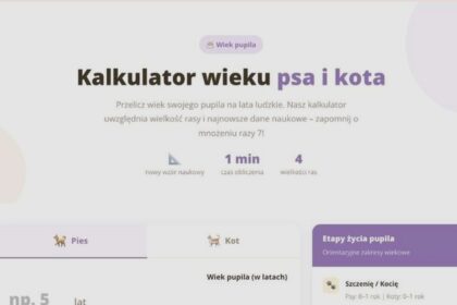 Nowy kalkulator wieku psa – przelicz psie lata na ludzkie