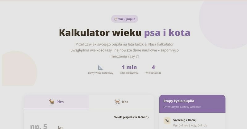 Nowy kalkulator wieku psa – przelicz psie lata na ludzkie