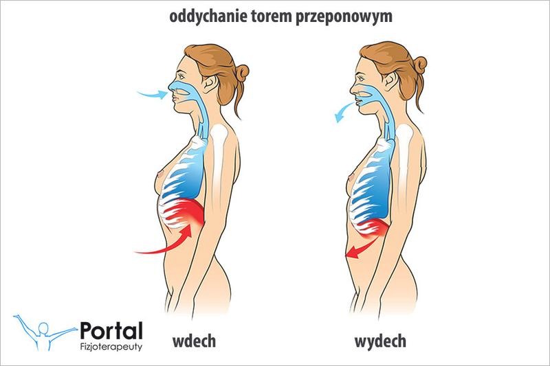 Kiedy robić wdech, a kiedy wydech? Zasady zdrowego oddychania